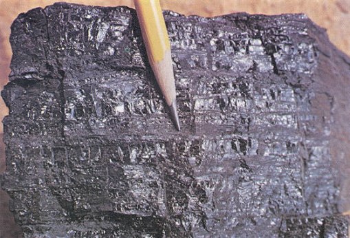 coal-specimen